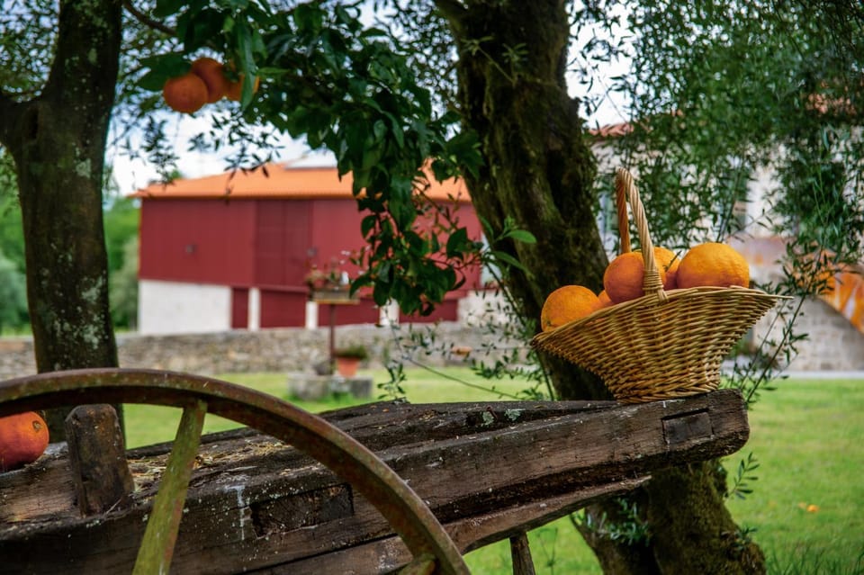 Garden, Garden, Garden view