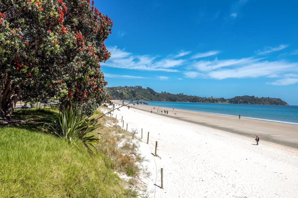 Wavesong - Coast & Country House in Auckland Region