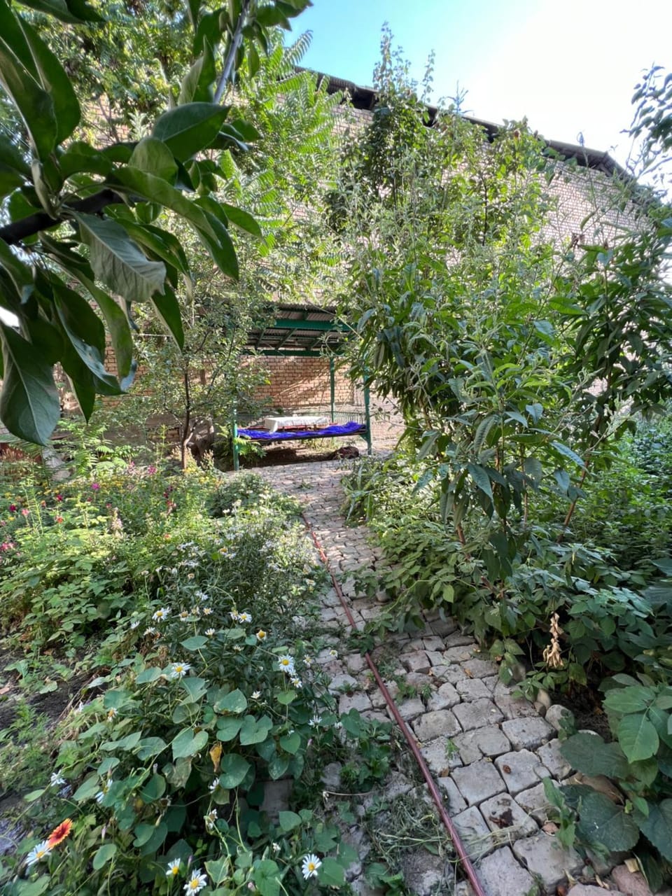 Spring, Day, Garden, Garden view