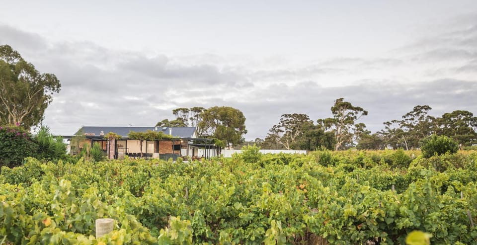 CASALE ESTATE House in Nuriootpa