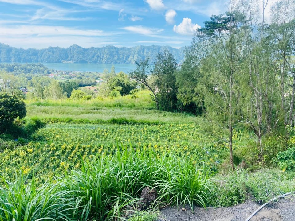 Batur Exotic Villa Bed and Breakfast in Karangasem Regency