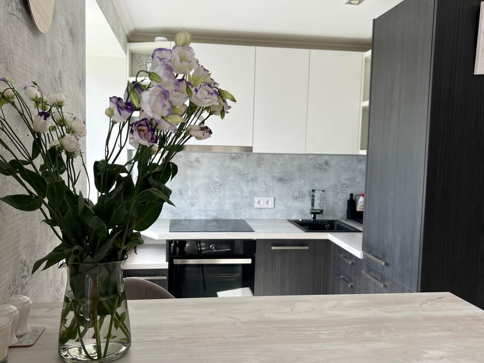 Kitchen or kitchenette, Dining area, minibar, pet friendly, stove