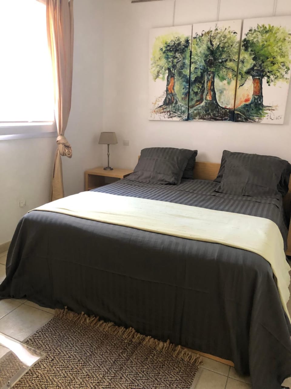 La Terrasse Apartment in Port-Vendres