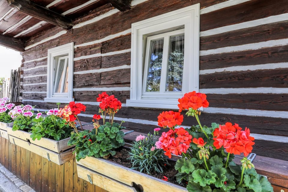 Property building, Spring, Day
