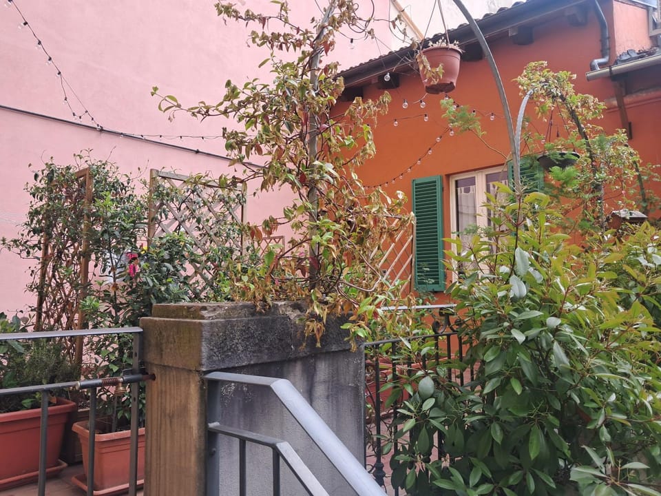 Garden, Garden view