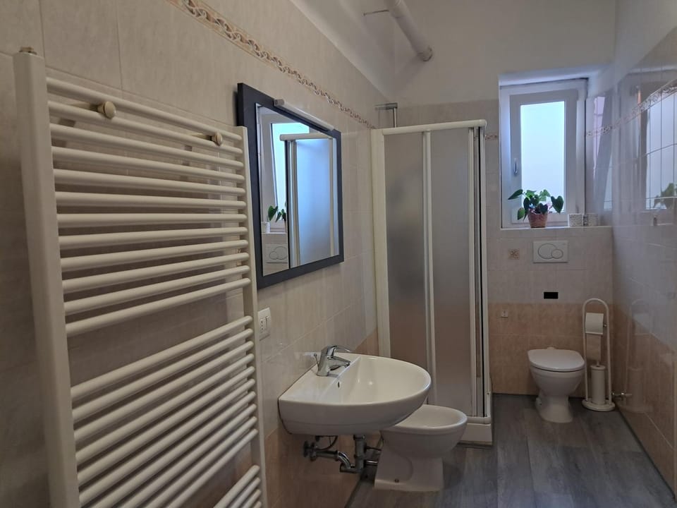 Shower, Toilet, Bathroom, bidet