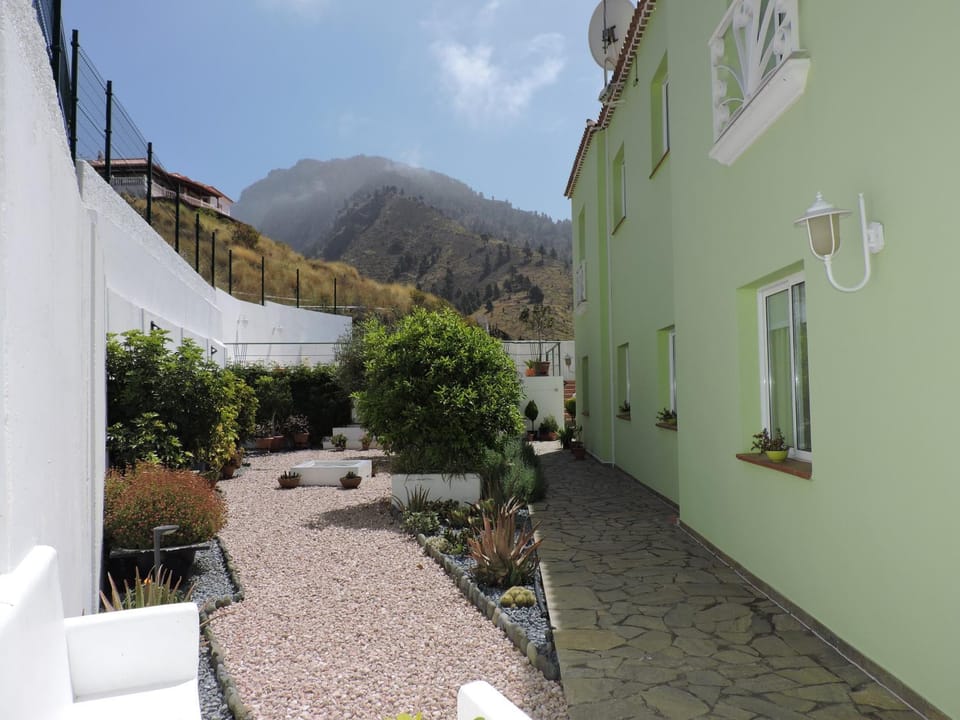 Property building, Natural landscape, Garden