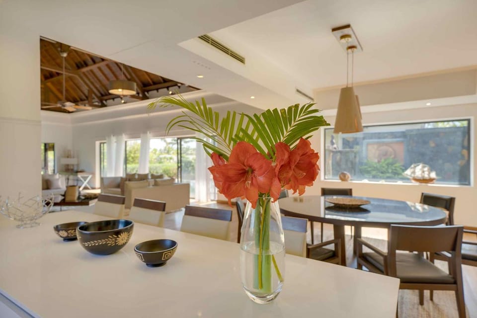 Seating area, Dining area