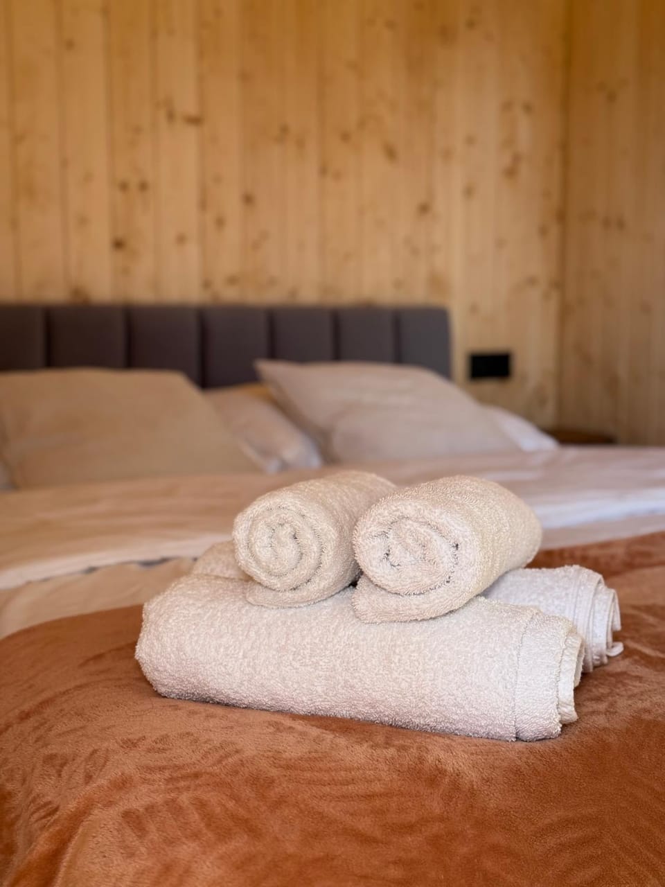 Bed, Photo of the whole room, Bedroom, towels