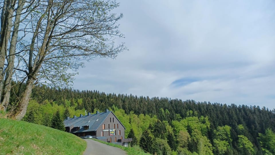 Property building, Spring, Natural landscape