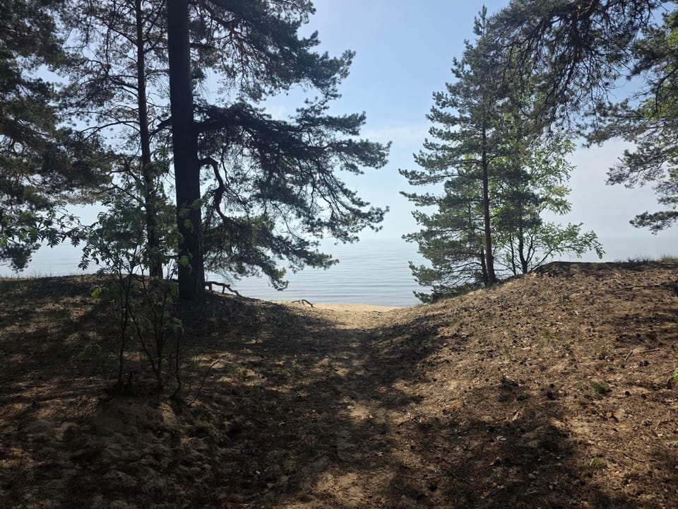 Lake view