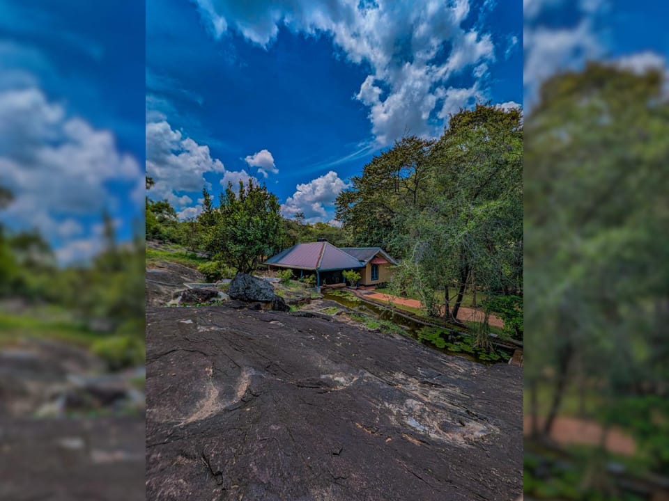Natural landscape