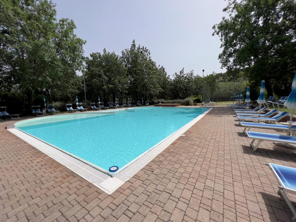 Swimming pool, sunbed