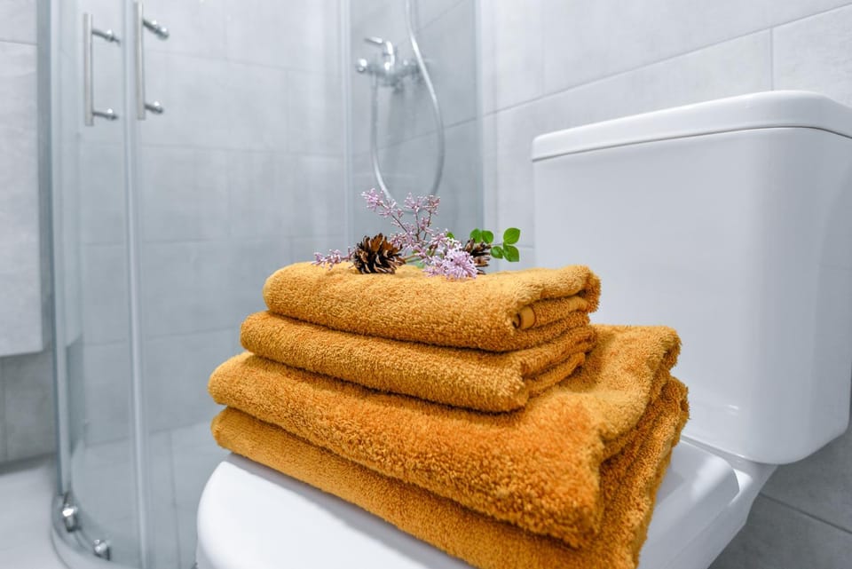 Žalia kopa su baseinu, Šventoji Apartment in Palanga