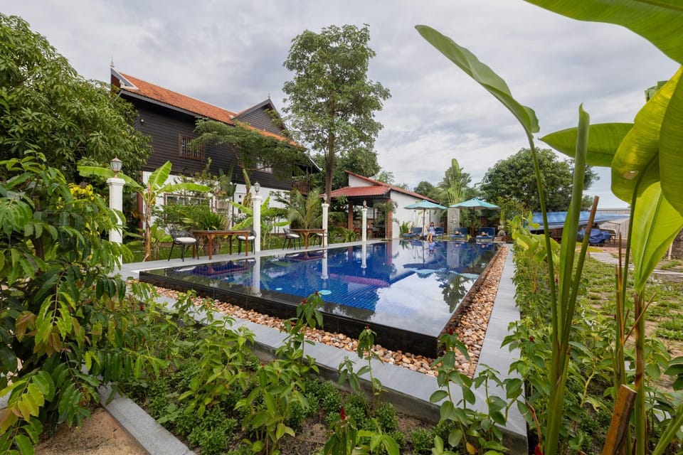 Swimming pool, Swimming pool, sunbed