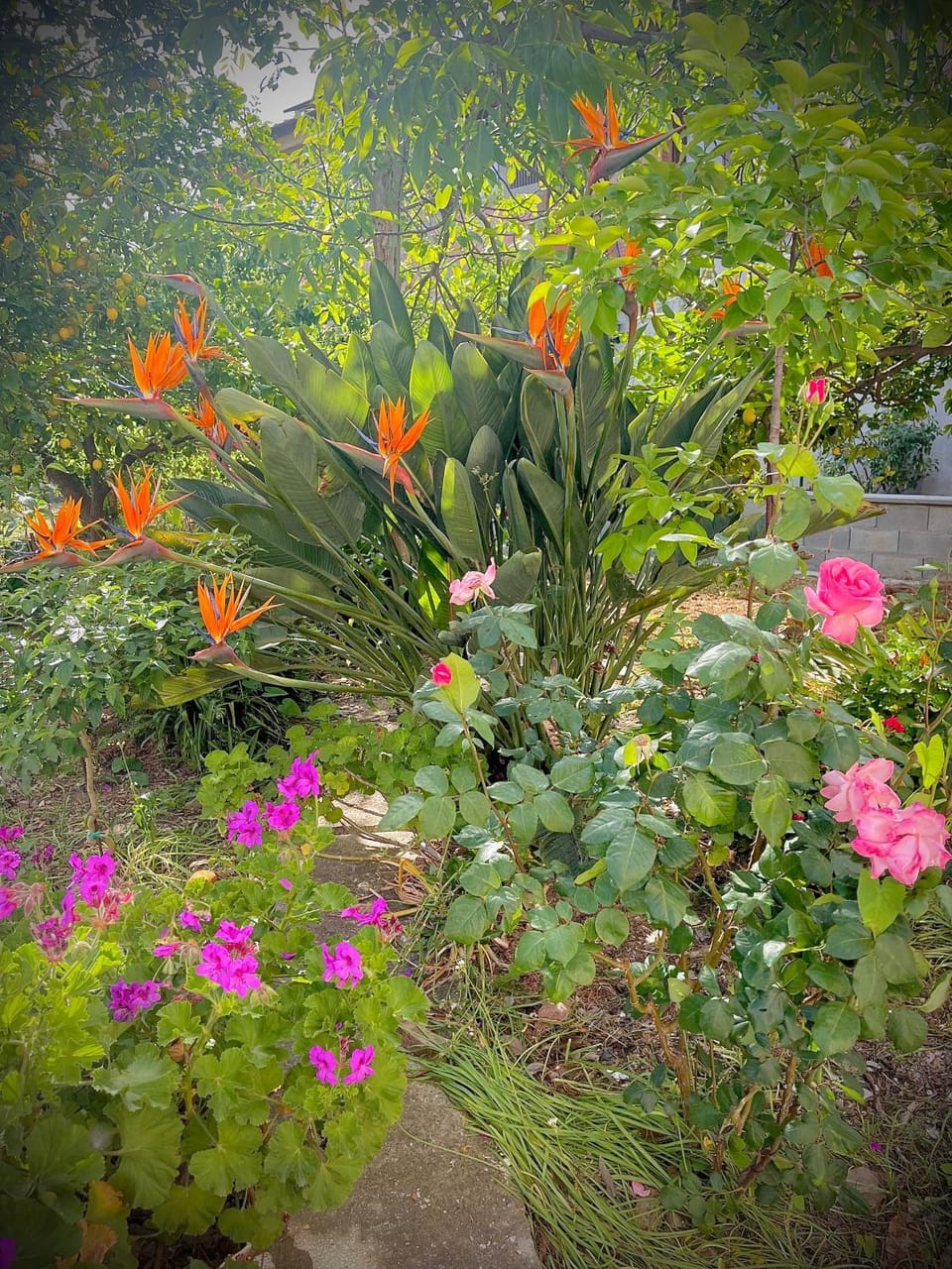 Garden, Garden view