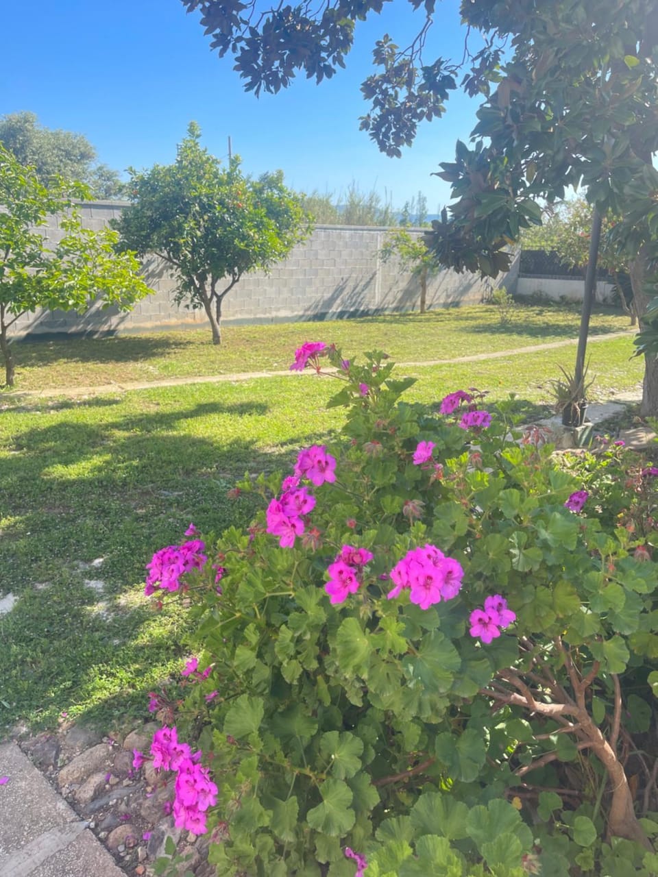 Garden, Garden view