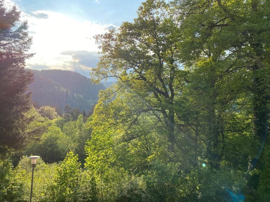 Kaffeehof 2 - FeWo in ruhiger Aussichtslage Apartment in Baden-Württemberg
