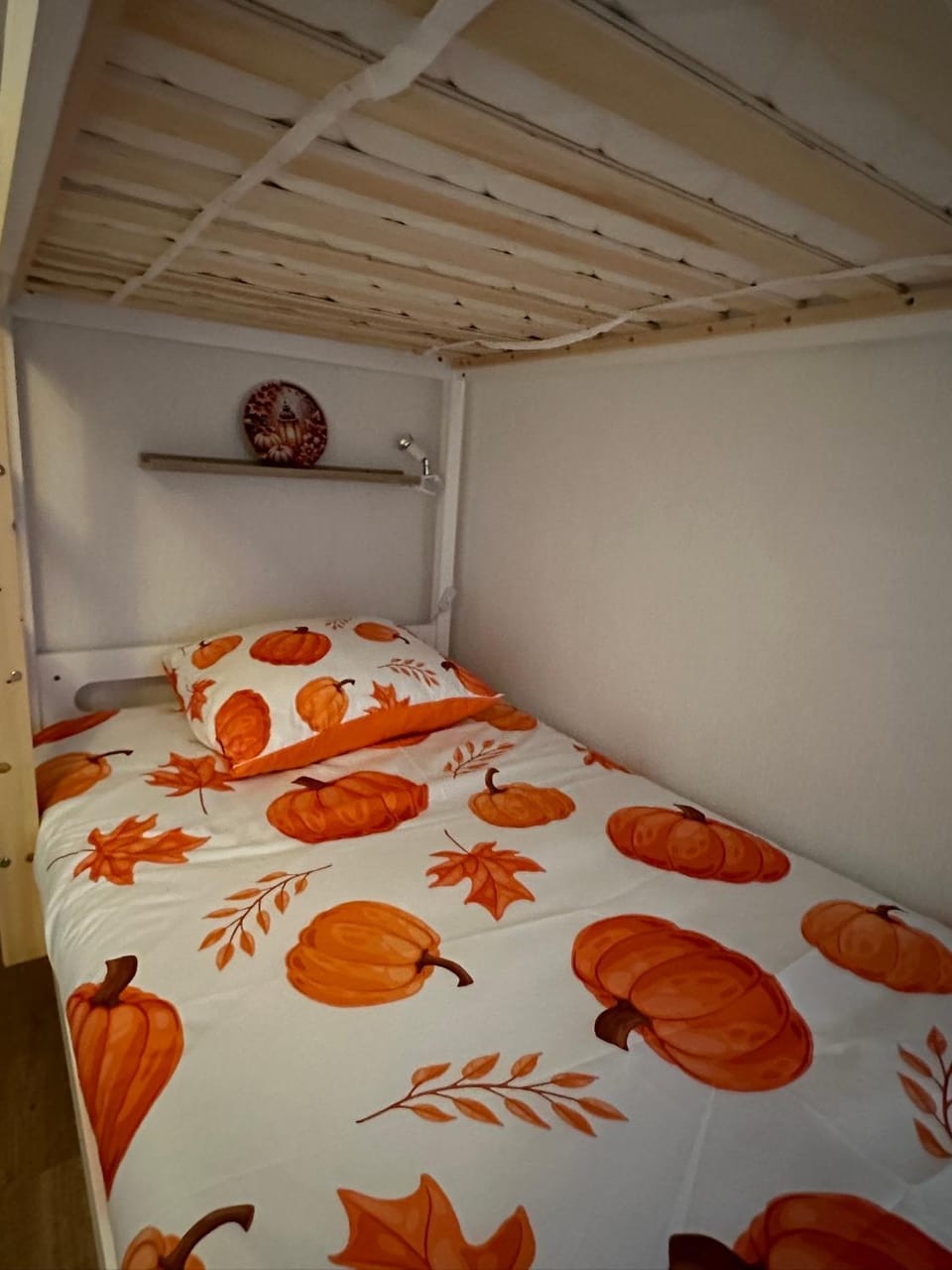 Le cocon de Marckolsheim proche Europapark Apartment in Grand Est