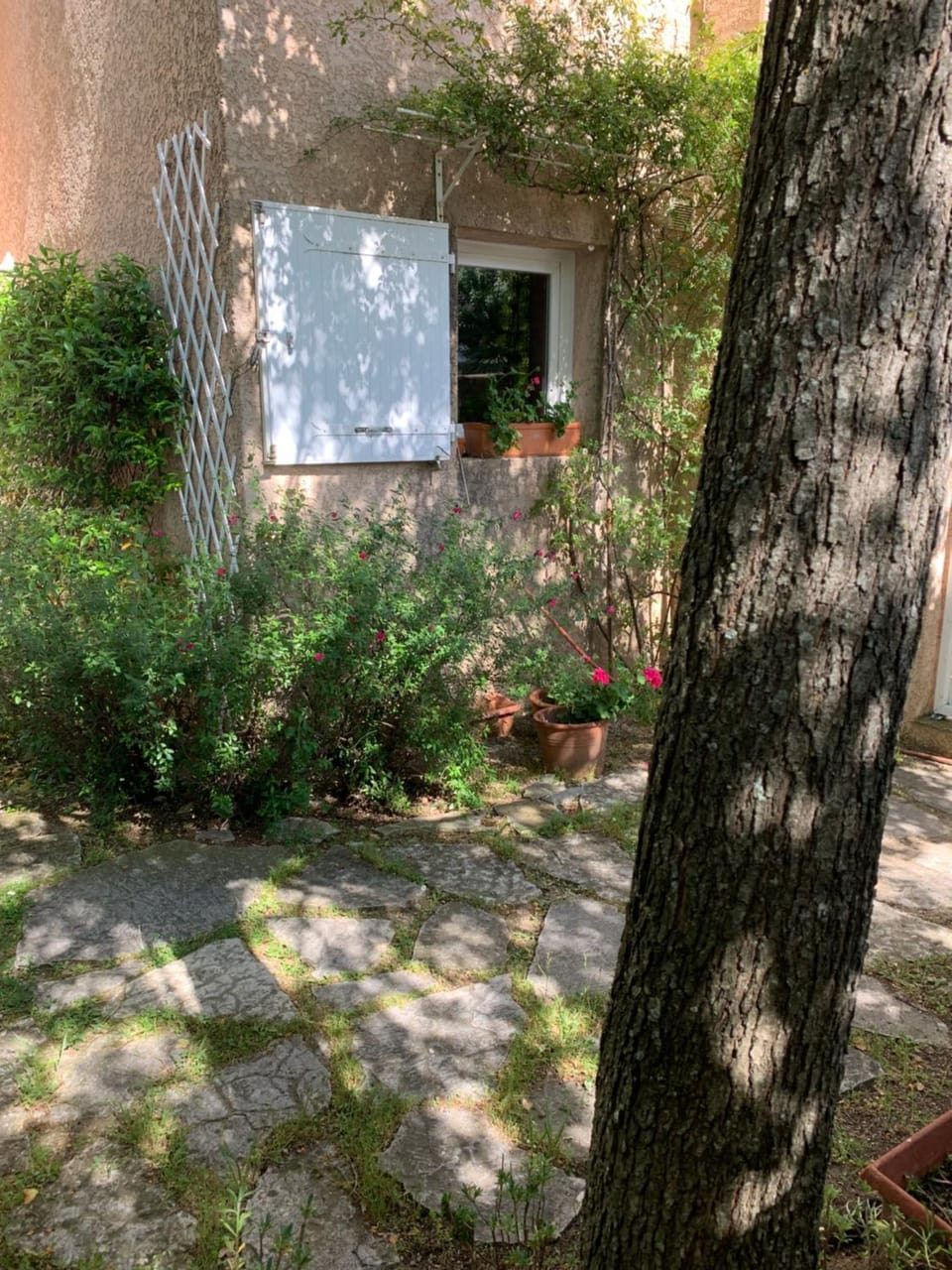 Garden, Garden view