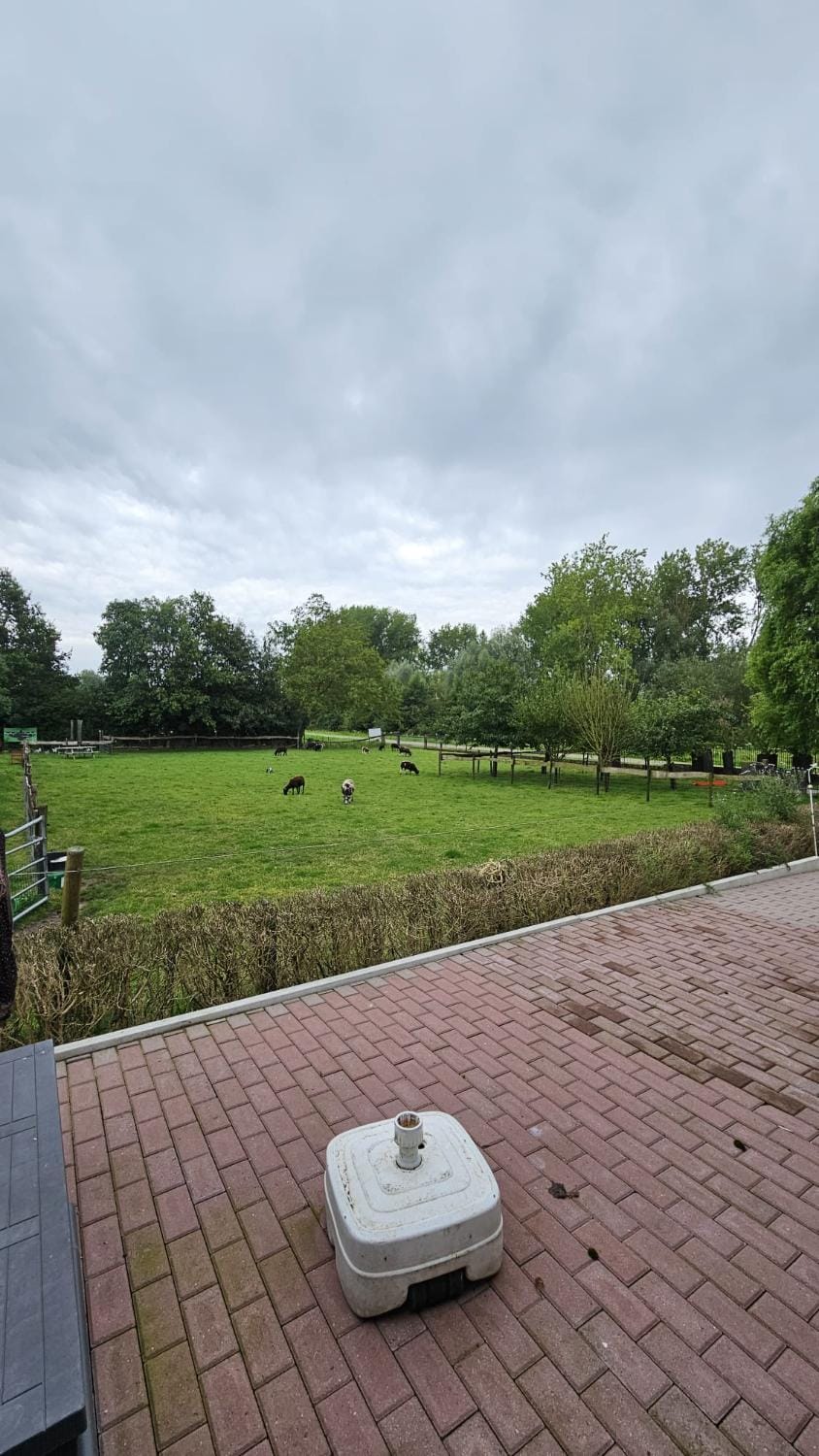 Natural landscape, Garden, Garden view