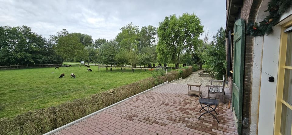Patio, Natural landscape, Garden, Garden view