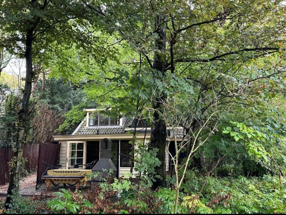Cottage Het Beukenootje House in North Holland (province)