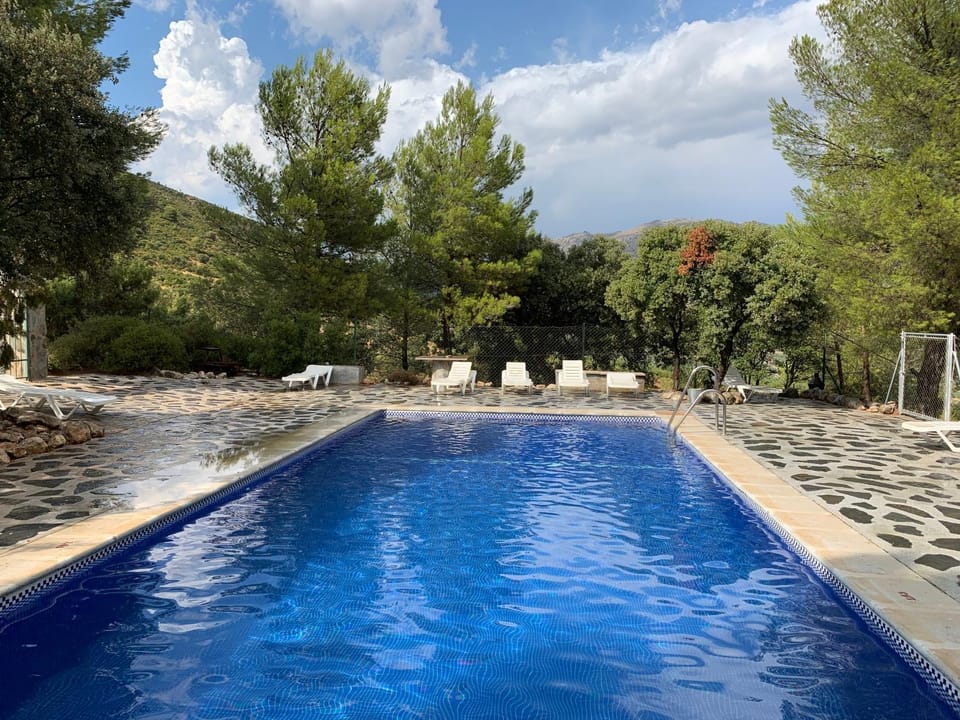 Spring, Day, Natural landscape, Garden, Garden view, Pool view, Swimming pool, sunbed