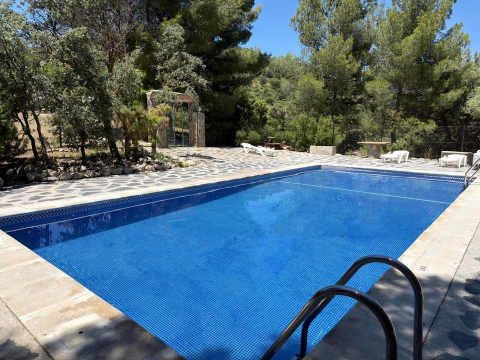 Day, Pool view, Swimming pool, sunbed
