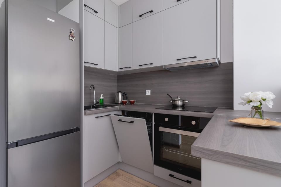 Kitchen or kitchenette, dishwasher, stove