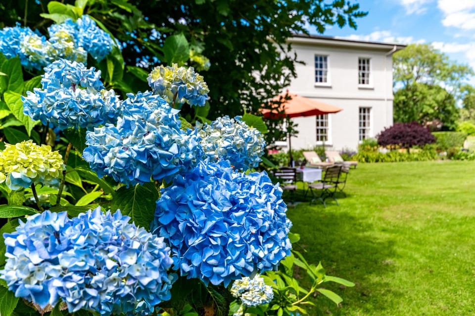 Property building, Spring, Day, Natural landscape, Garden