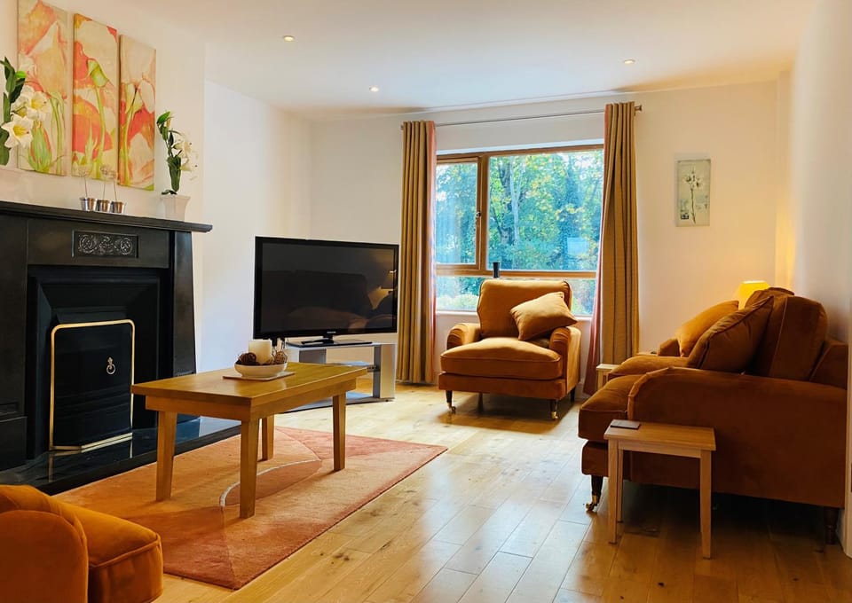 TV and multimedia, Seating area, fireplace