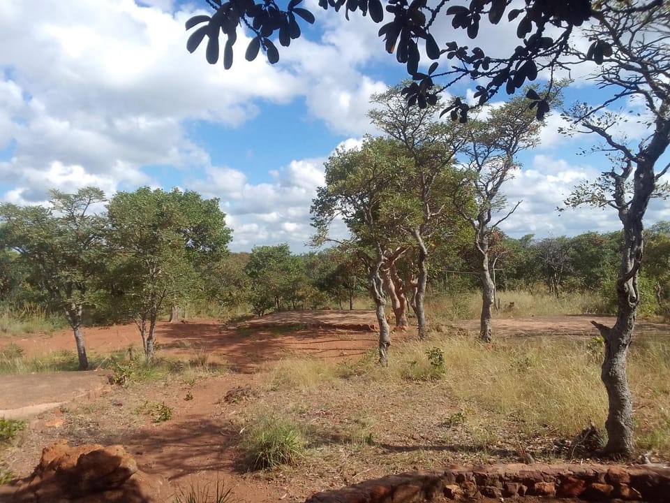 Natural landscape