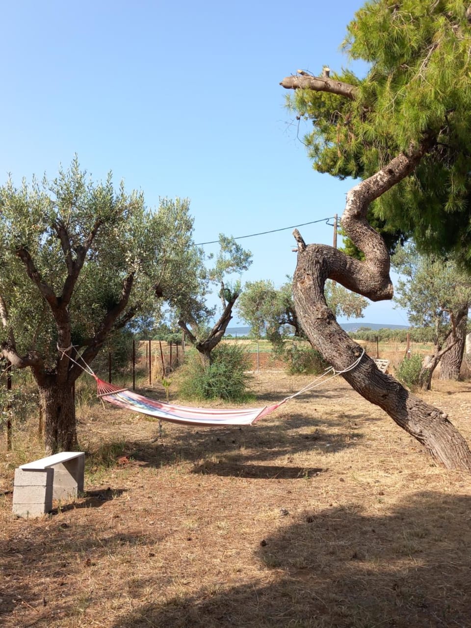 Gesyl house House in Peloponnese Region