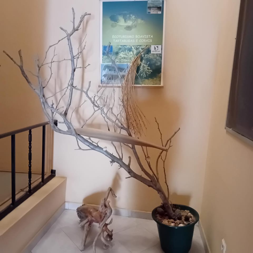Residencial Rosa Criola Bed and Breakfast in Cape Verde