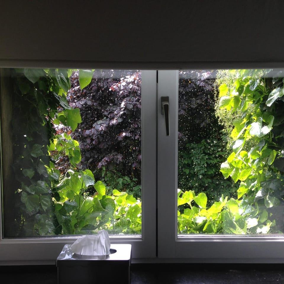 Inner courtyard view