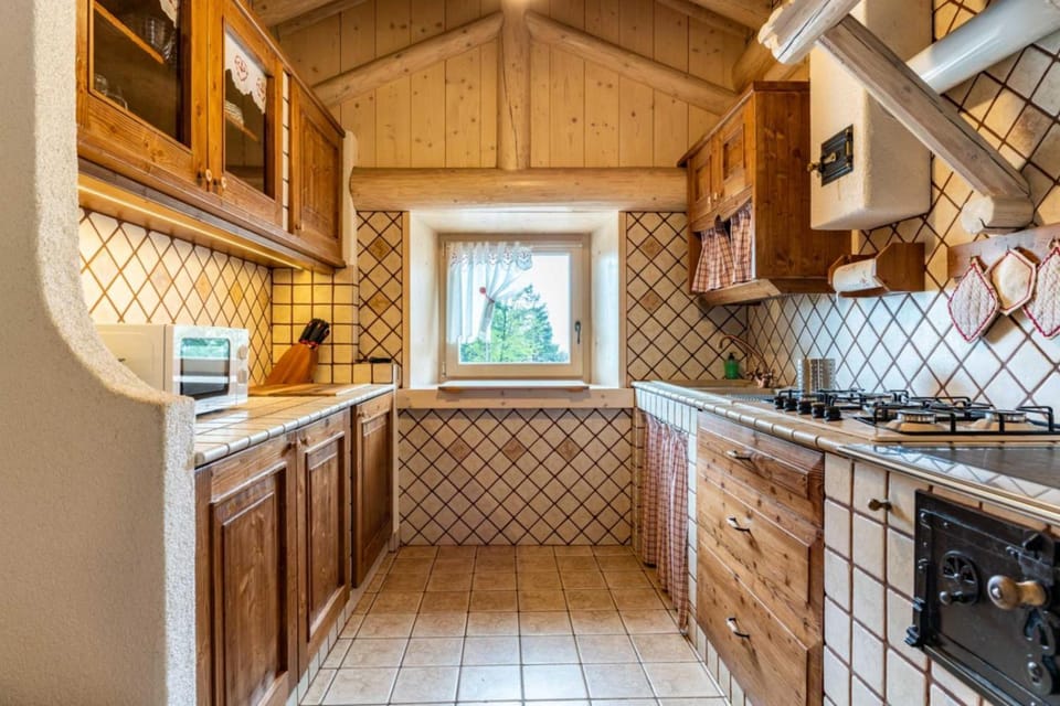 Kitchen or kitchenette, minibar, pet friendly, stove