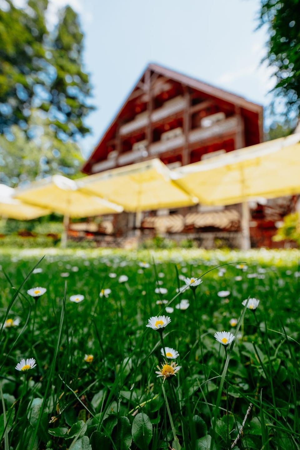 Property building, Day, Natural landscape