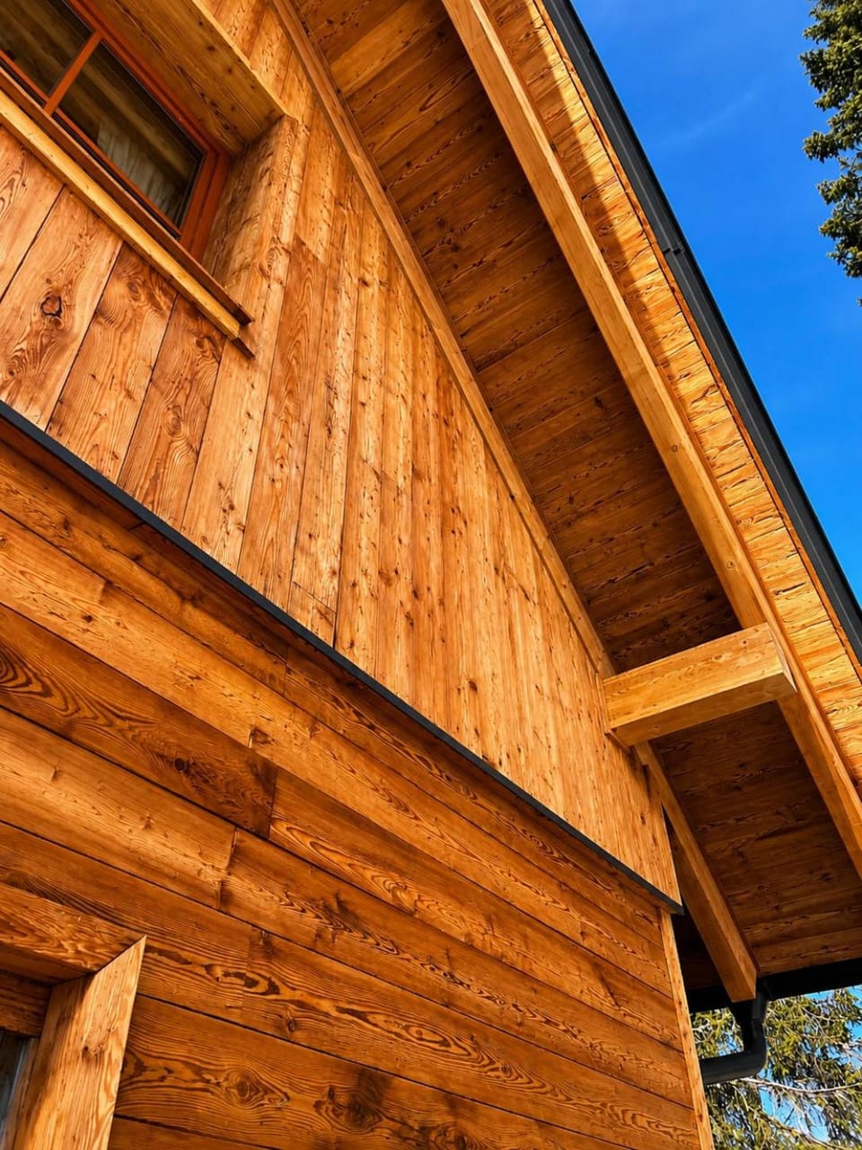 Hotel & Chalets Mountain Resort Frauenalpe Hotel in Carinthia, Austria