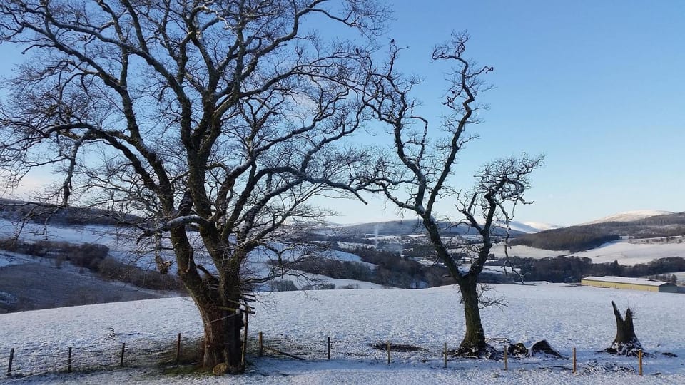 Natural landscape, Winter