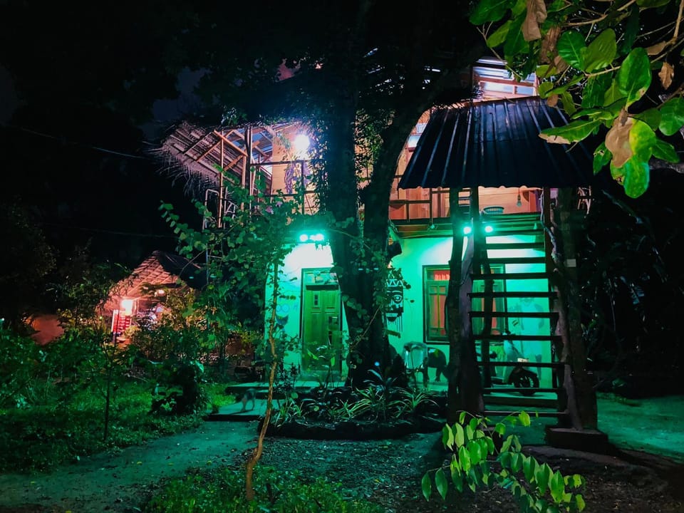 Property building, Night, Garden view