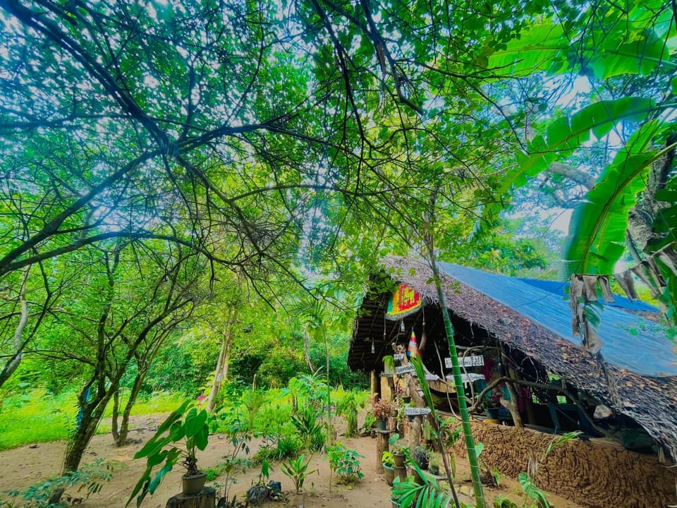 Restaurant/places to eat, Garden