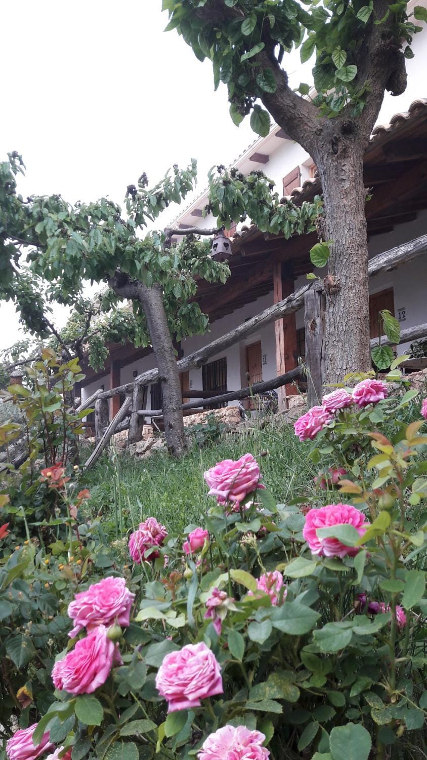 Chorros del Río Mundo Bed and Breakfast in Riópar