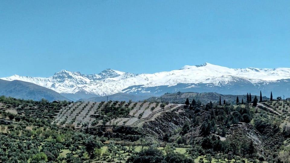 View (from property/room), View (from property/room), Mountain view, Mountain view