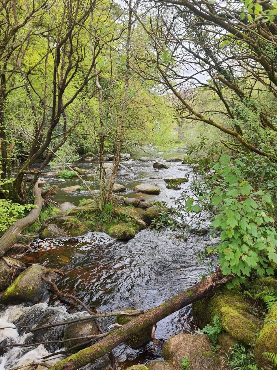 Other, River view