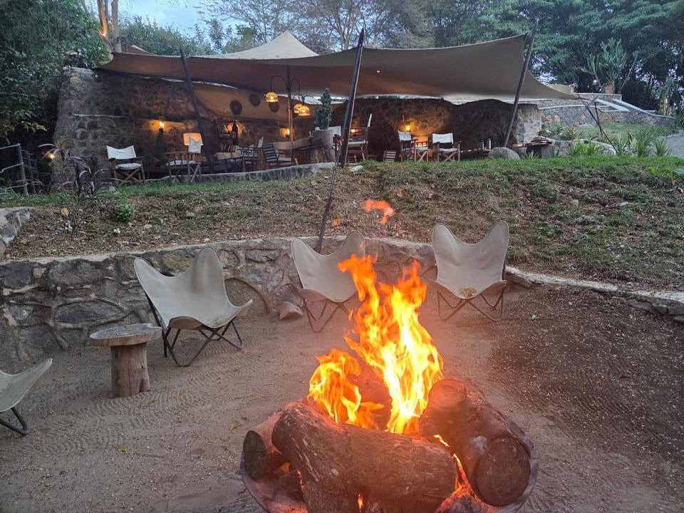 Restaurant/places to eat, Garden, Evening entertainment