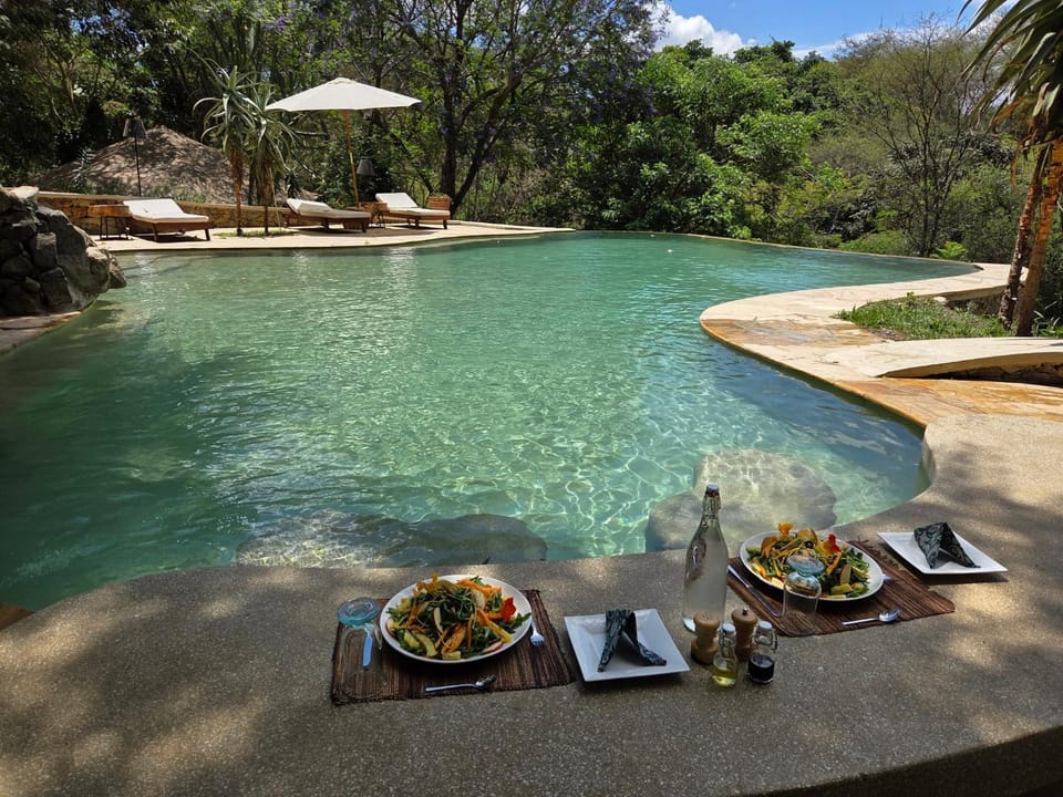 Day, Food, Pool view, Swimming pool, Lunch, Drinks