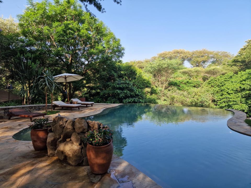 Pool view, Swimming pool, sunbed