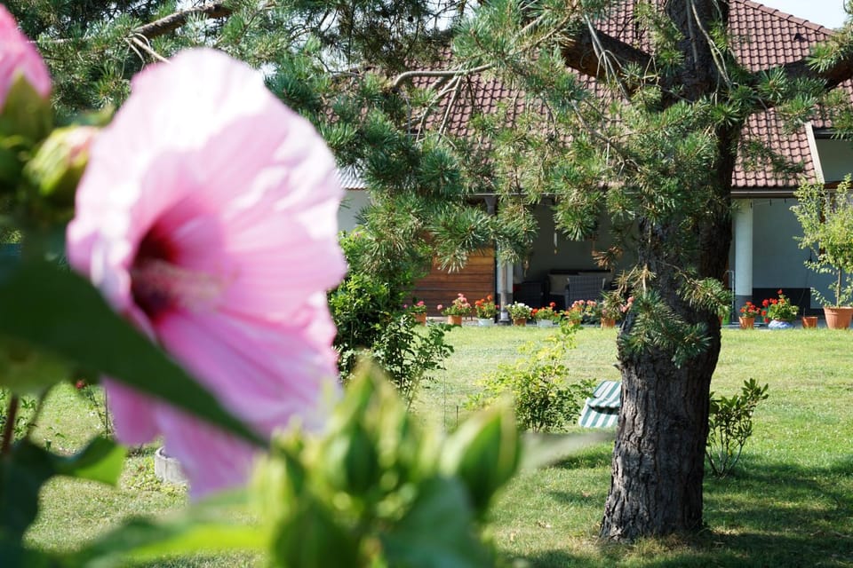 Spring, Day, Summer, Garden, Balcony/Terrace, Autumn, On site