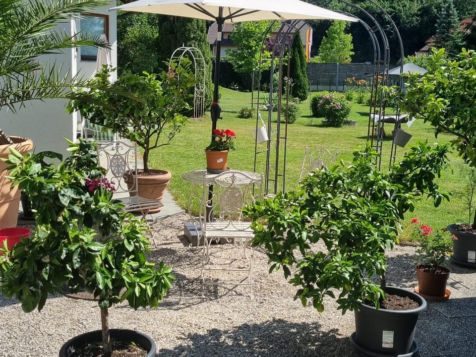 Day, Garden, Garden view